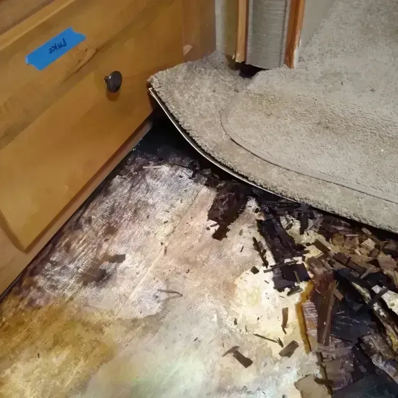 Best Wood Floor Water Damage Service in Thibodaux, LA